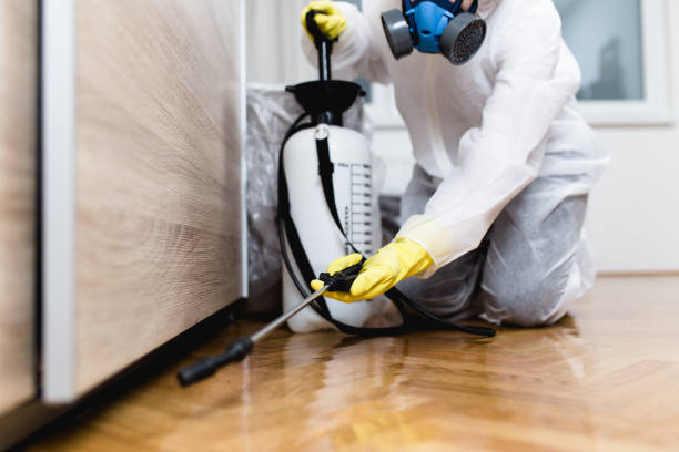 Best Pest Control Cost  in USA